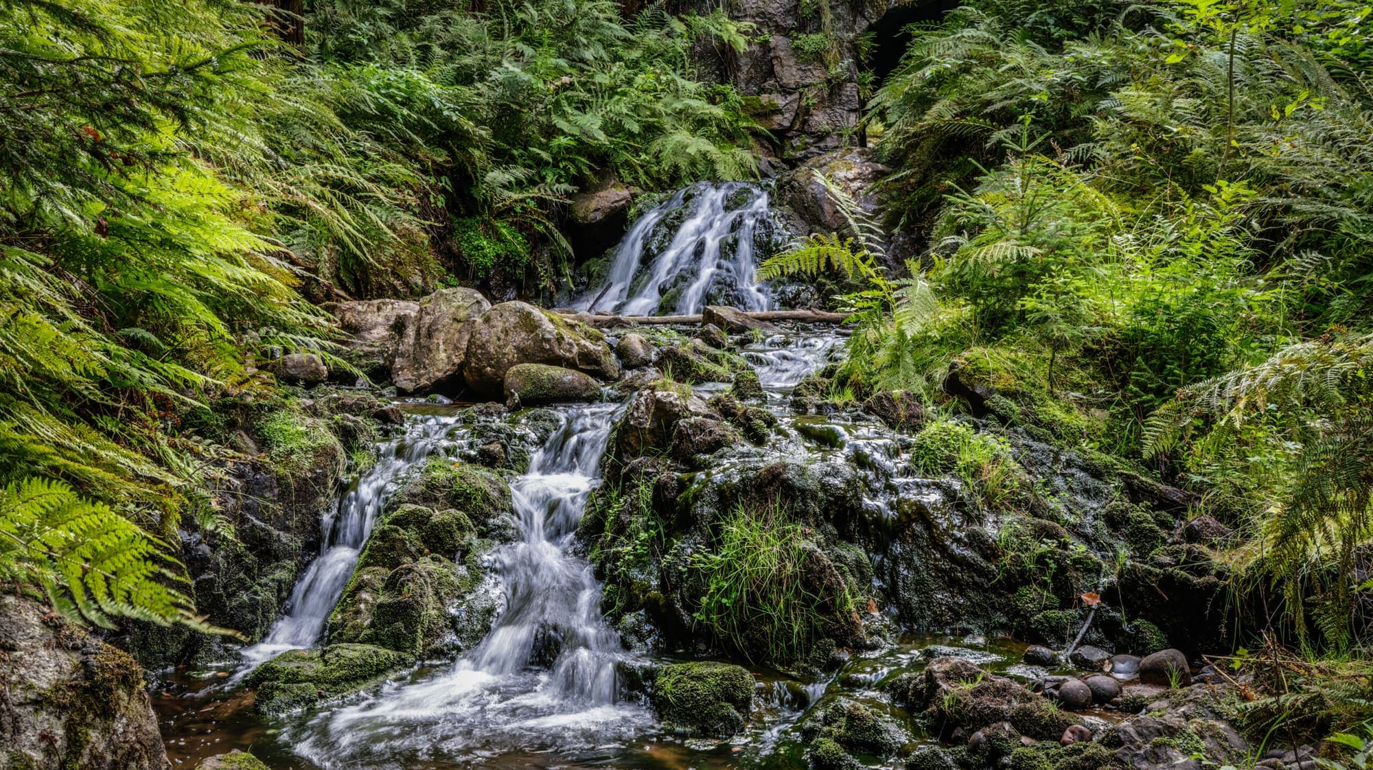 Waterfall in a Swedish forest at Solvarboravinen