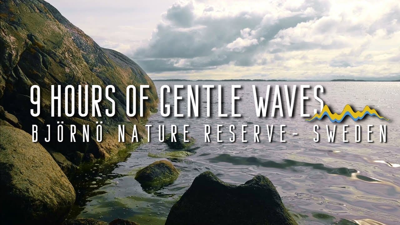 Sleep sound - White Noise from Sweden 😴 9 hours Gentle Waves
