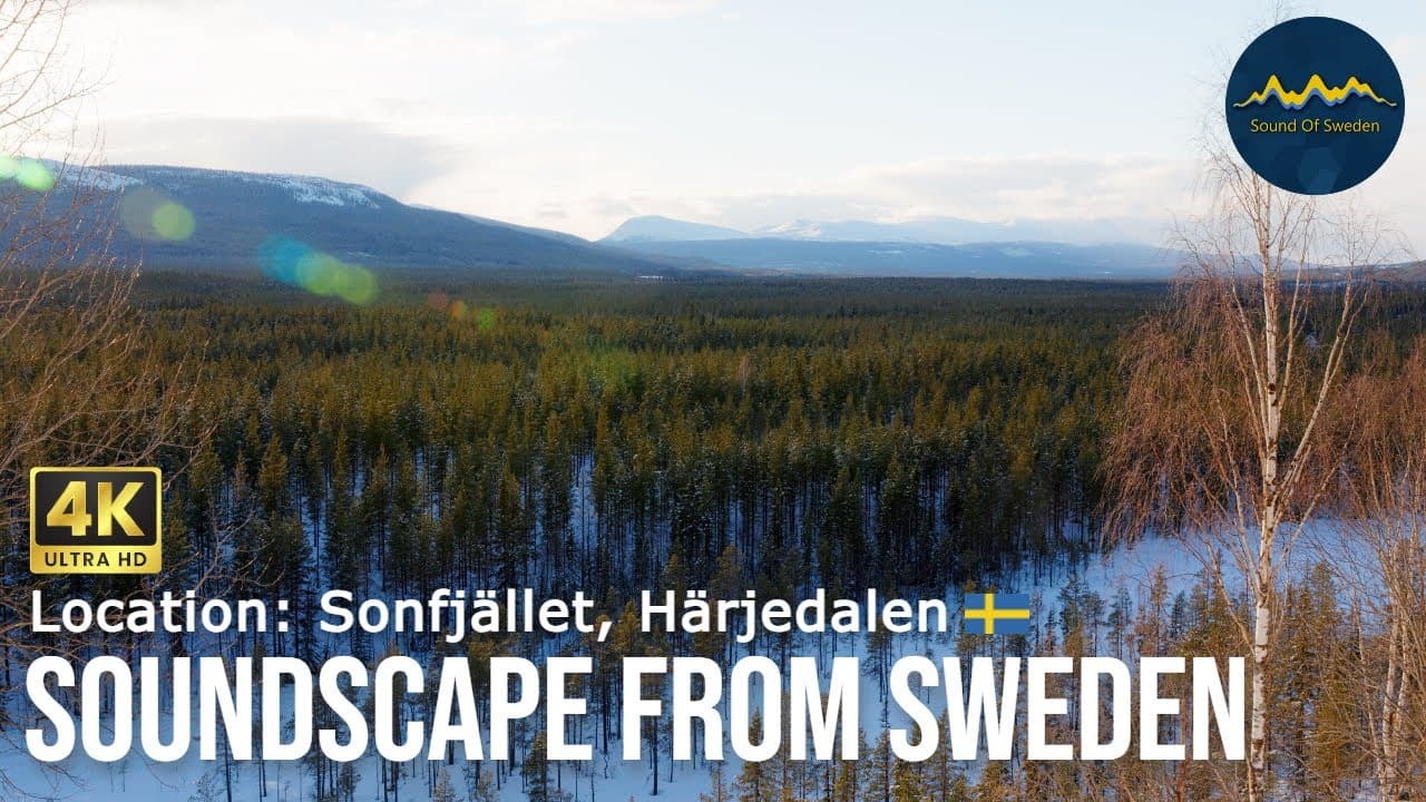 Relaxing Nature Sounds | Sonfjället Härjedalen, Sweden | Calming Forest Ambiance #Soundscapes