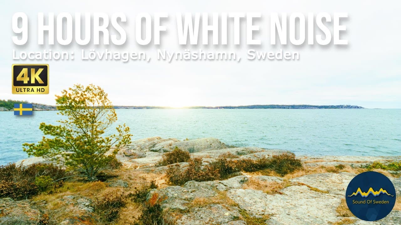 9 Hours Relaxing Nature Sounds from Sound Of Sweden #whitenoise