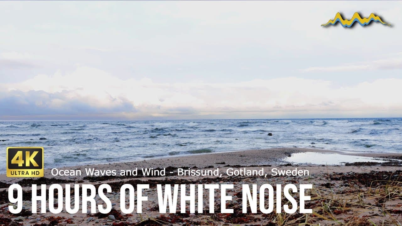 9 hours Ocean Waves at Brissund, Gotland: Natural White Noise for Relaxation & Sleep 🌊❄️#oceanwaves