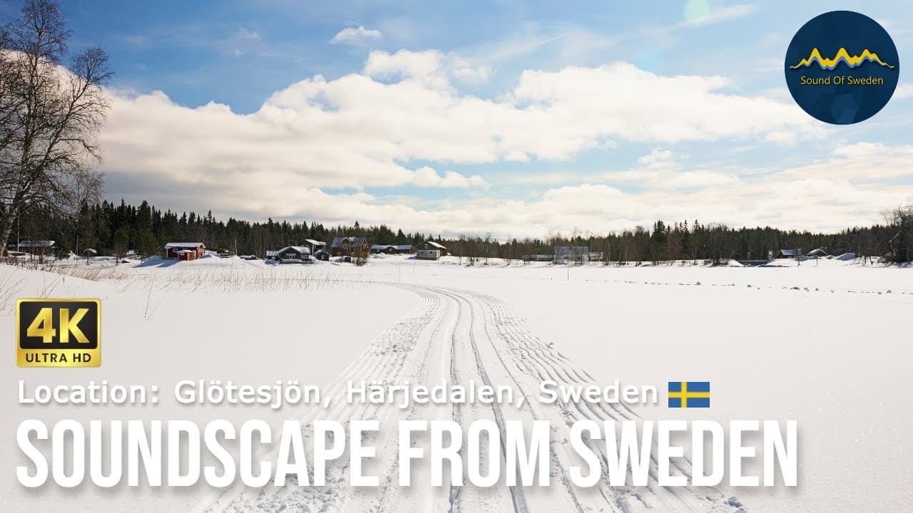 Soundscape from Sweden - Howling Dogs - Location: Glötesjön, Härjedalen