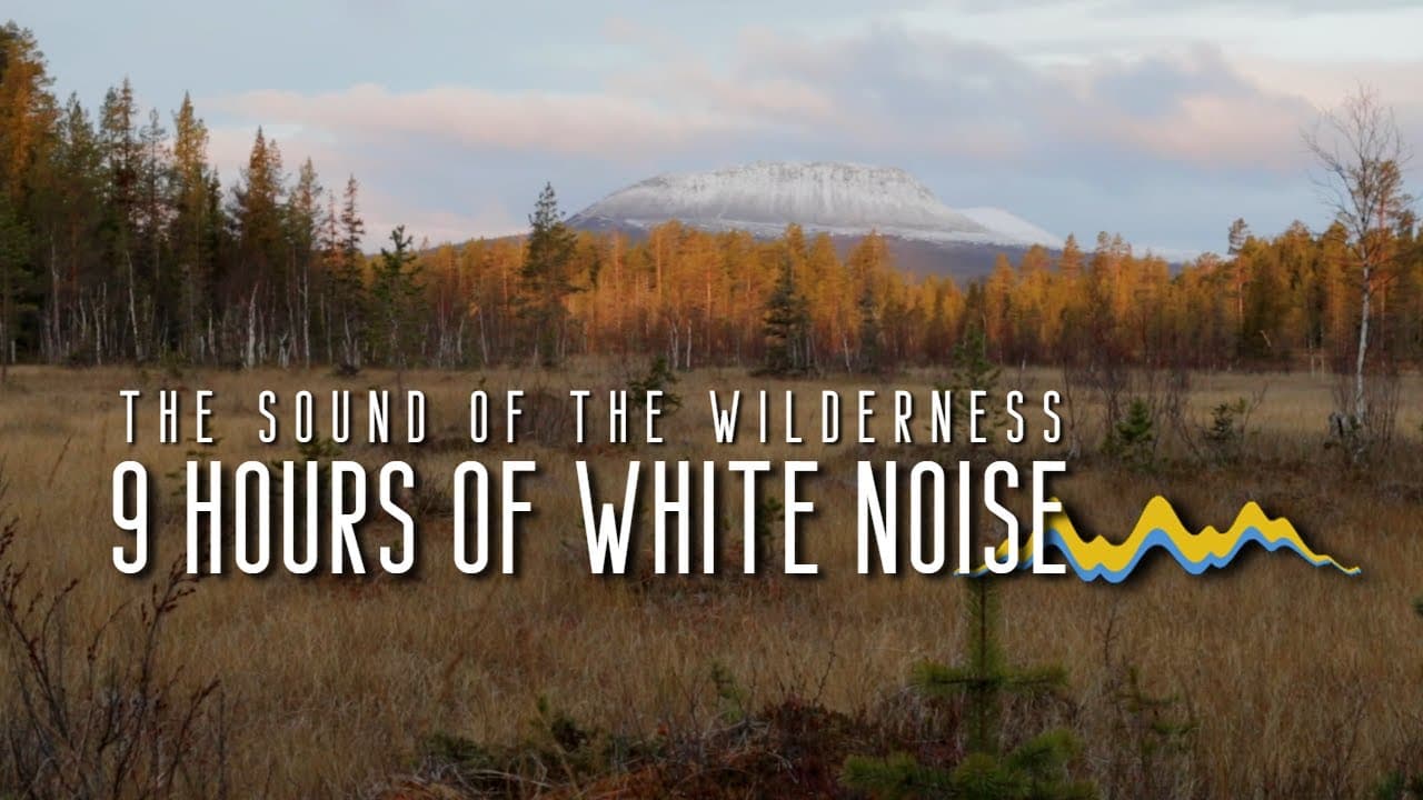 9 Hrs Natural White Noise of the Wind of the Wilderness - Hovärken - Lofsdalen - Sweden