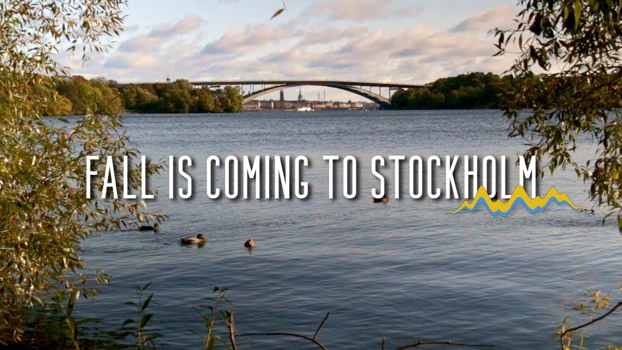 Sound of Autumn Wind in Stockholm Sweden - Västerbron
