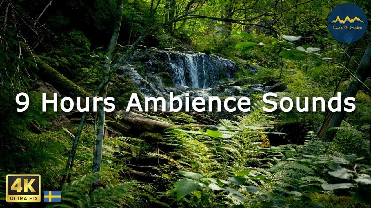 Relaxing ASMR Nature Sounds - for Focus, Sleep, Calm - Sound Of Sweden