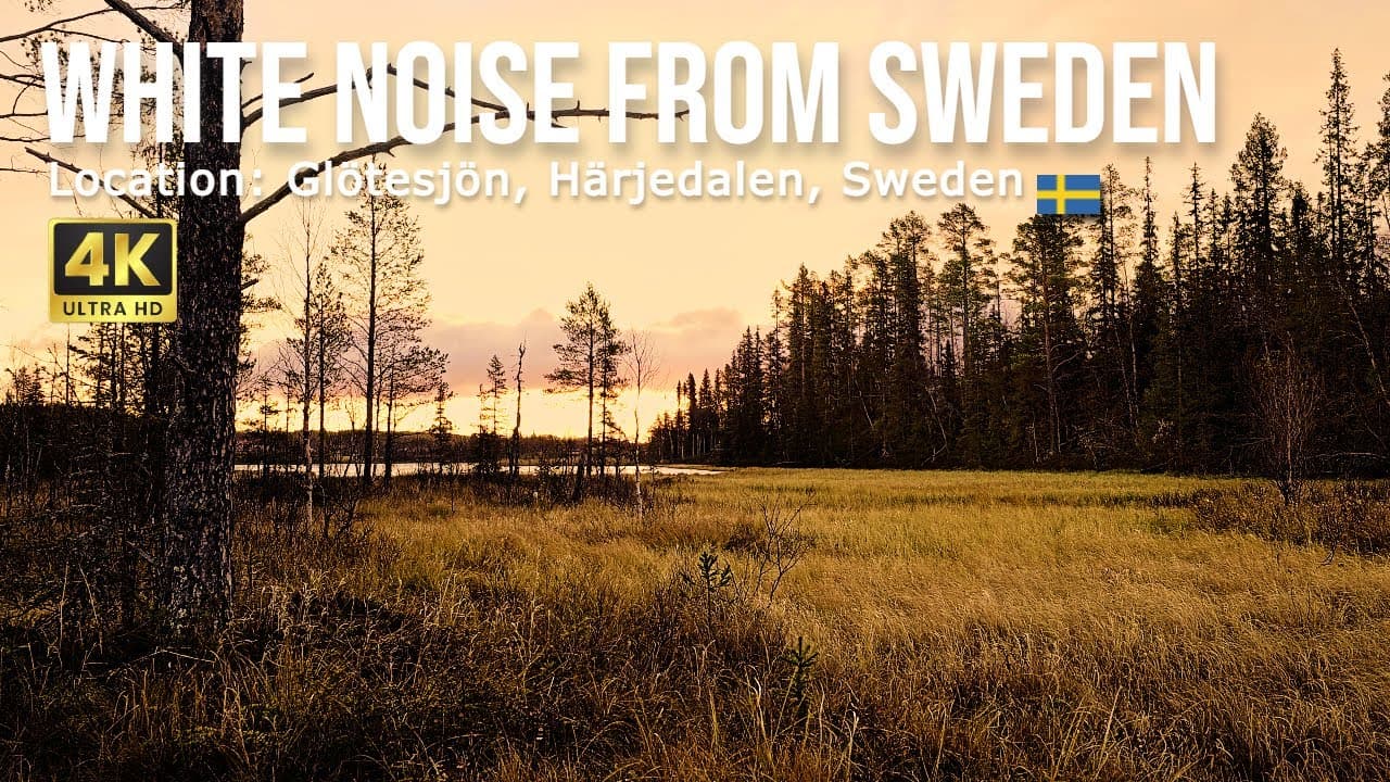 Swedish Dawn at Lake: Peaceful Soundscape of Grass Fields and Lake with Wind Sounds #soundscapes