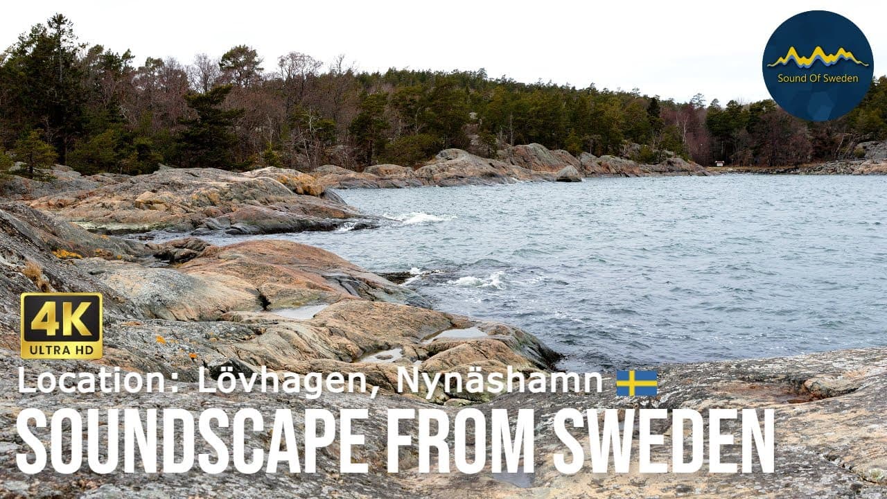 Water Sounds for Sleeping - Waves from Sound of Sweden #soundscapes